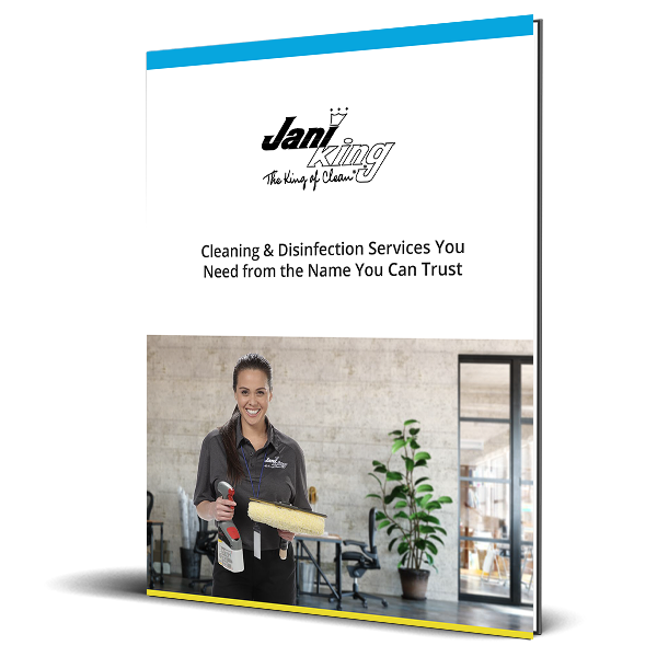 cleaning director services