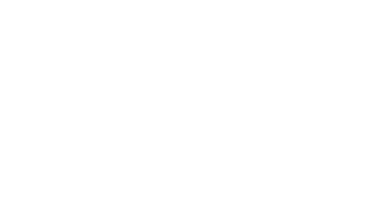Jani-King Reverse Logo